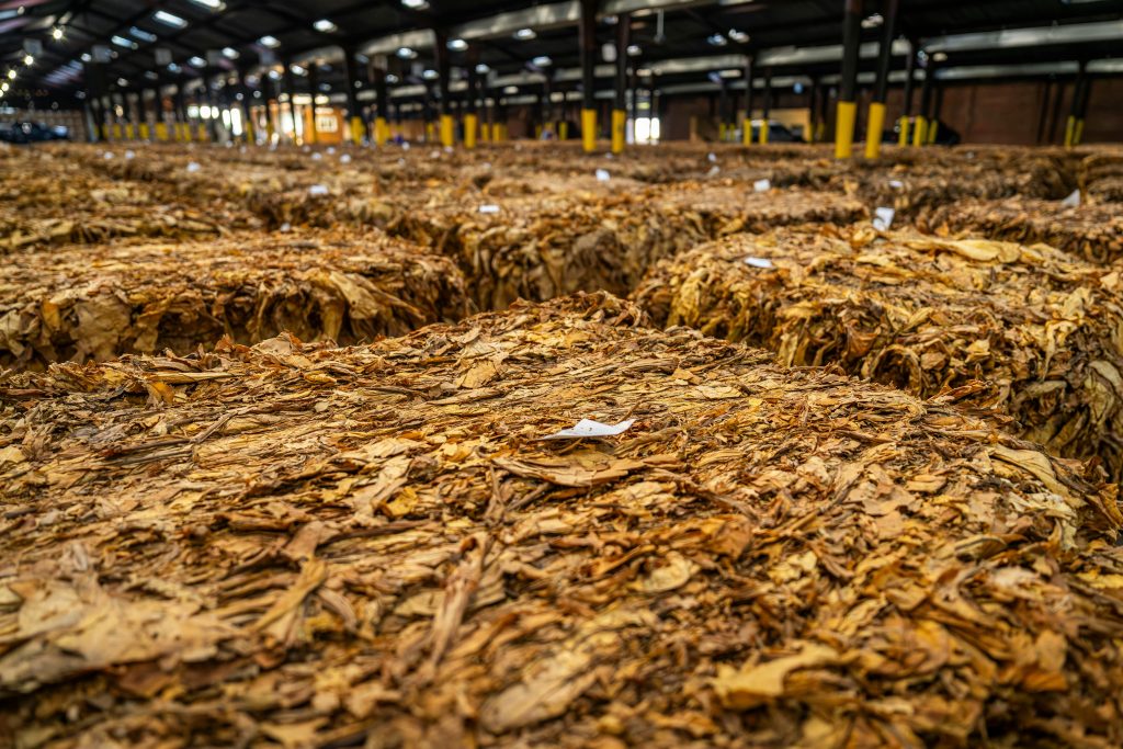The Evolution of Tobacco Products: From Tradition to Modernity