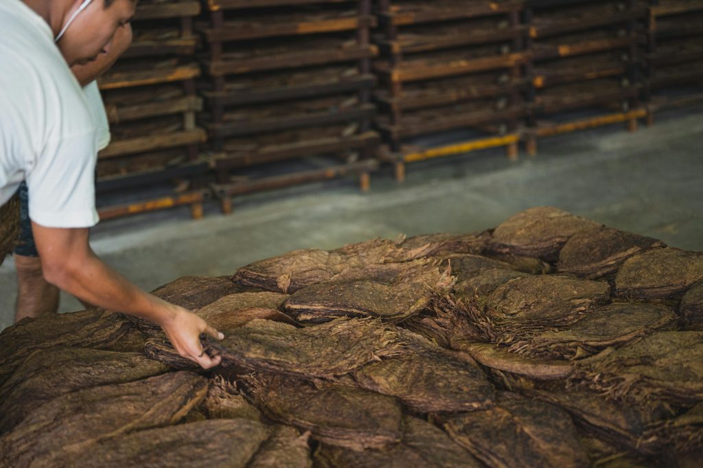 Navigating the Future of Tobacco: Trends and Innovations to Watch