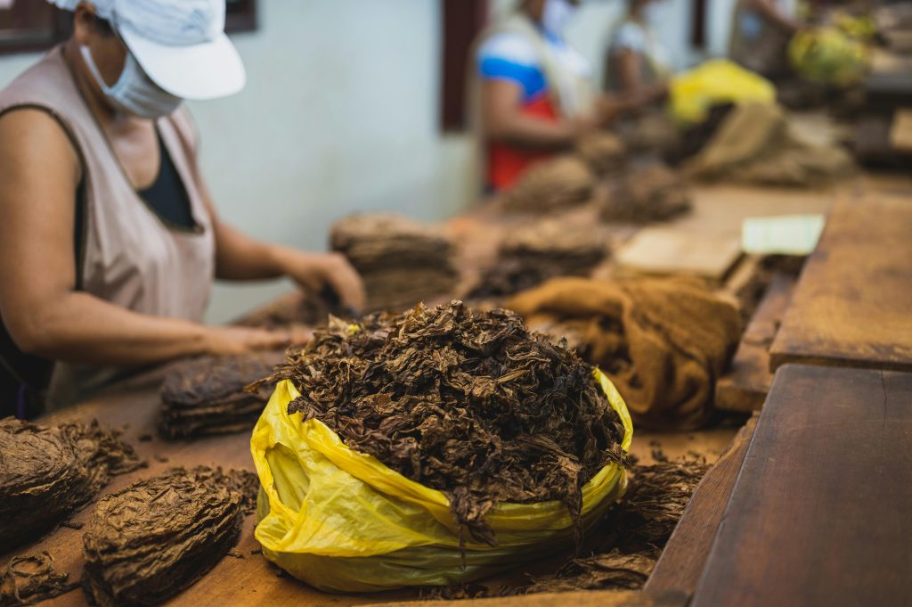 Sustainability in the Tobacco Industry: A Greener Approach